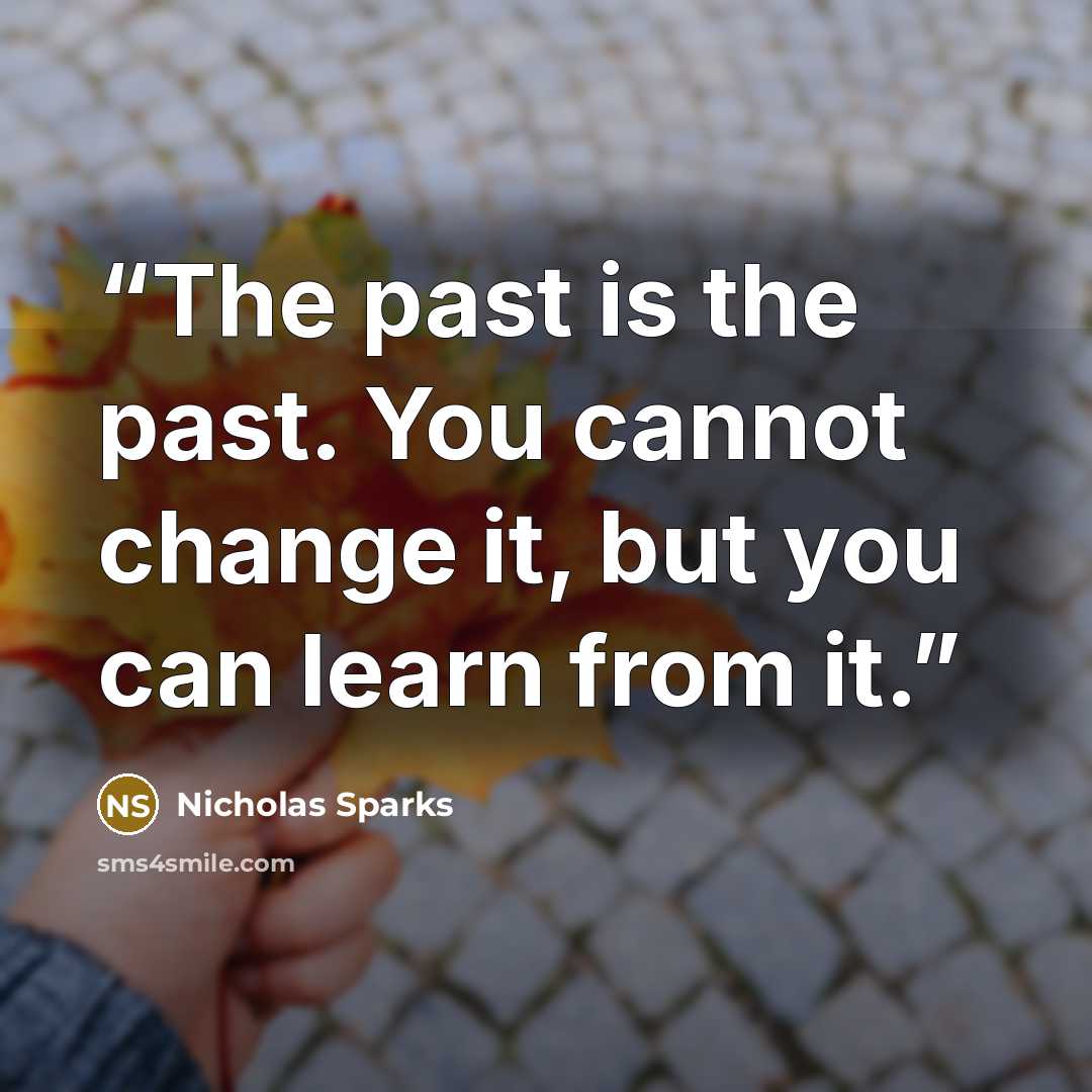 “The past is the past. You cannot change it, but you can learn from it.” quote by Nicholas Sparks