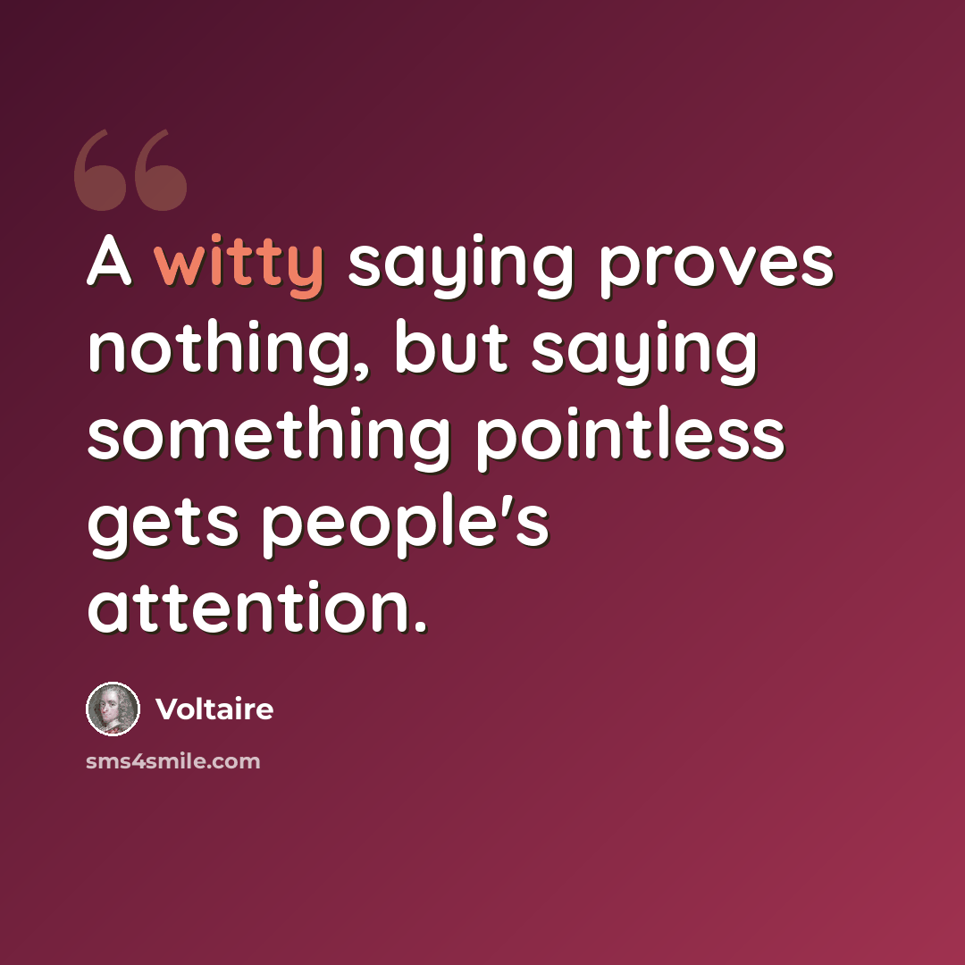 “A witty saying proves nothing, but saying something pointless gets people's attention.” quote by Voltaire
