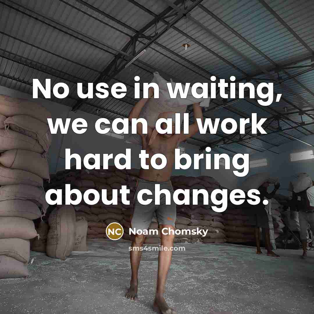 “No use in waiting, we can all work hard to bring about changes.” quote by Noam Chomsky
