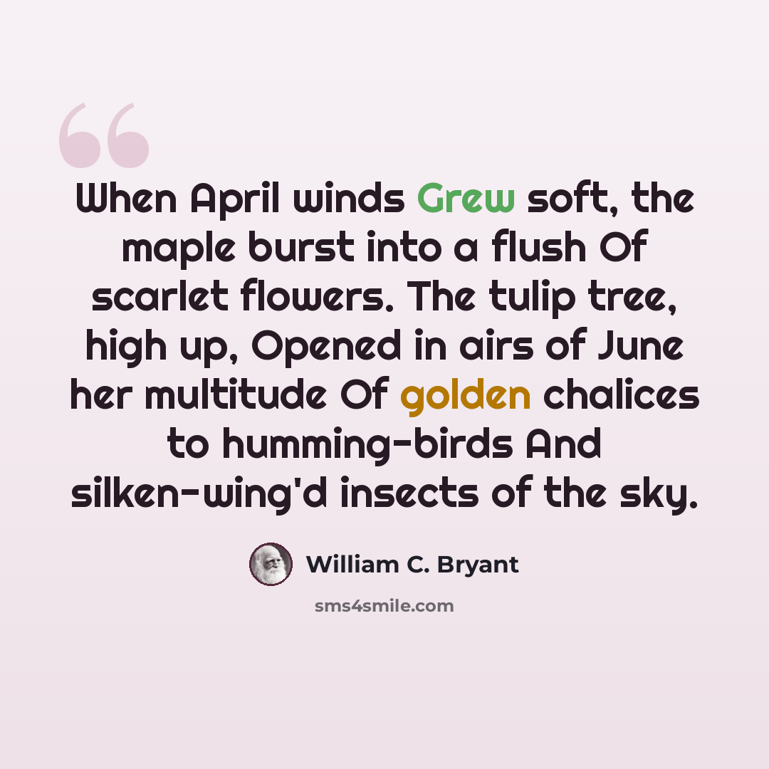 “When April winds Grew soft, the maple burst into a flush Of scarlet flowers. The tulip tree, high up, Opened in airs of June her multitude Of golden chalices to humming-birds And silken-wing'd insects of the sky.” quote by William C. Bryant