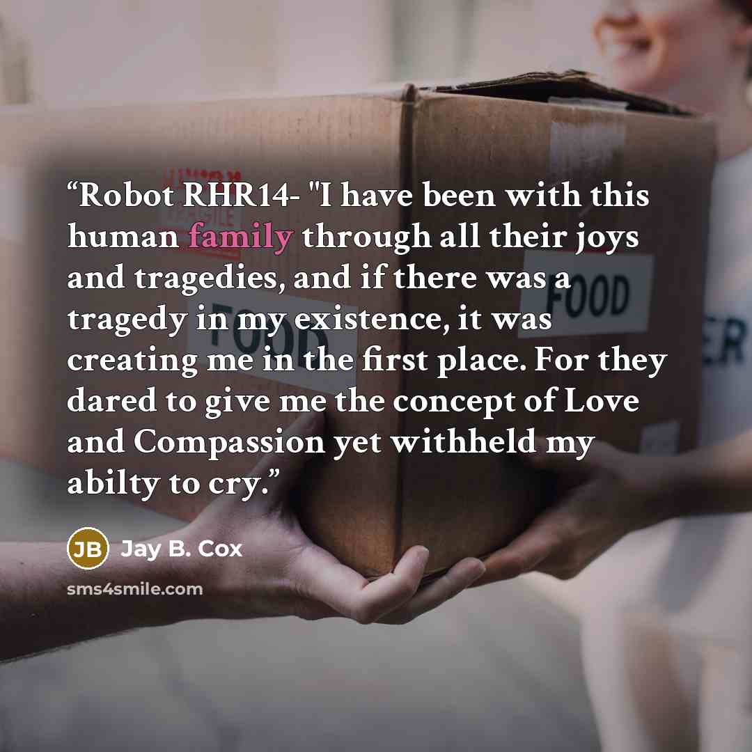 “Robot RHR14- "I have been with this human family through all their joys and tragedies, and if there was a tragedy in my existence, it was creating me in the first place. For they dared to give me the concept of Love and Compassion yet withheld my abilty to cry.” quote by Jay B. Cox