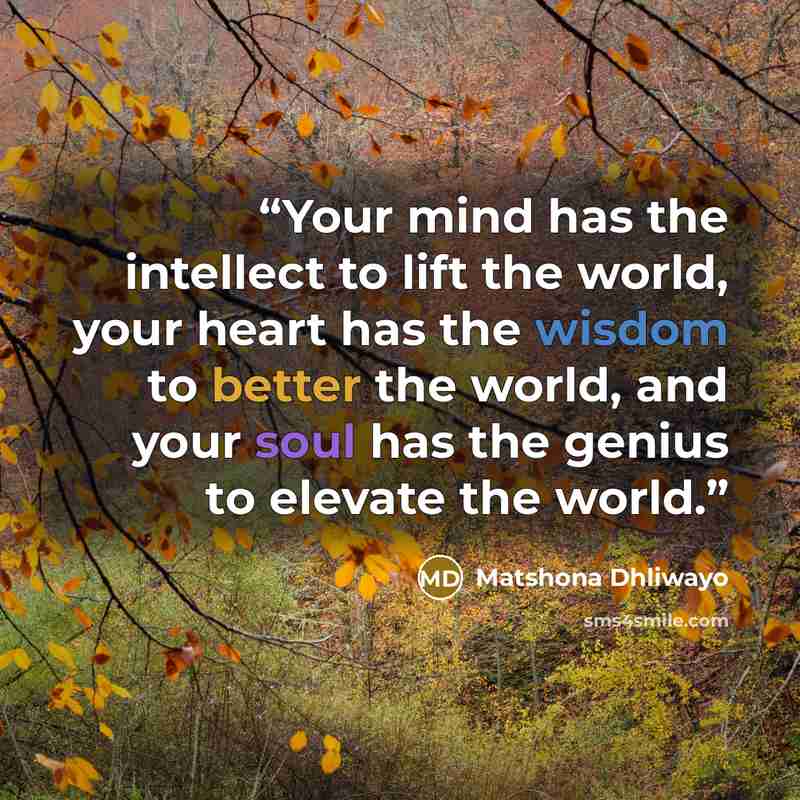 “Your mind has the intellect to lift the world, your heart has the wisdom to better the world, and your soul has the genius to elevate the world.” quote by Matshona Dhliwayo