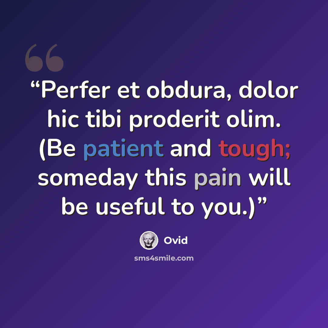 “Perfer et obdura, dolor hic tibi proderit olim. (Be patient and tough; someday this pain will be useful to you.)” quote by Ovid