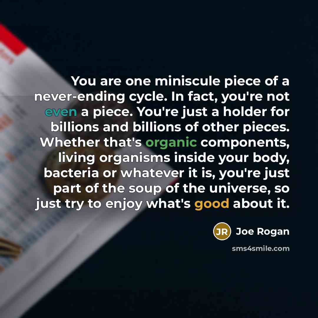 “You are one miniscule piece of a never-ending cycle. In fact, you're not even a piece. You're just a holder for billions and billions of other pieces. Whether that's organic components, living organisms inside your body, bacteria or whatever it is, you're just part of the soup of the universe, so…” quote by Joe Rogan