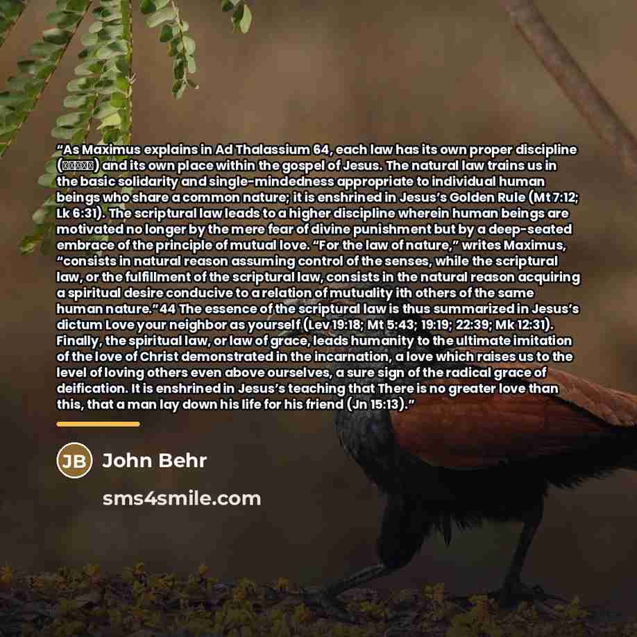 “As Maximus explains in Ad Thalassium 64, each law has its own proper discipline (ἀγωγή) and its own place within the gospel of Jesus. The natural law trains us in the basic solidarity and single-mindedness appropriate to individual human beings who share a common nature; it is enshrined in Jesus’s…” quote by John Behr