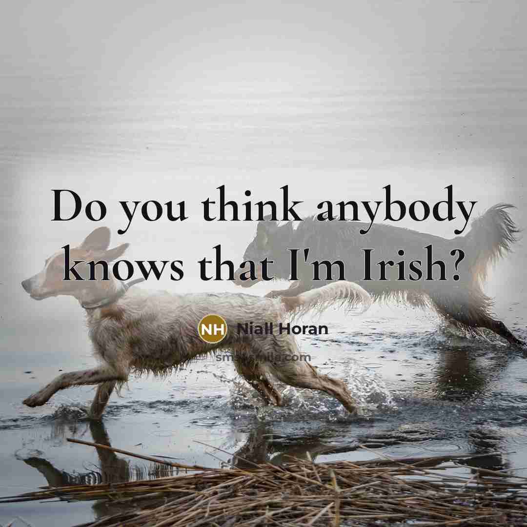 “Do you think anybody knows that I'm Irish?” quote by Niall Horan