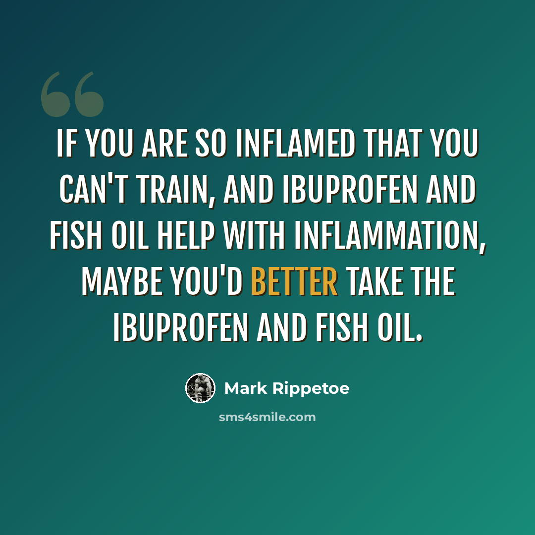 “If you are so inflamed that you can't train, and ibuprofen and fish oil help with inflammation, maybe you'd better take the ibuprofen and fish oil.” quote by Mark Rippetoe