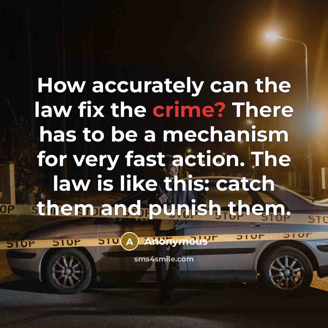 “How accurately can the law fix the crime? There has to be a mechanism for very fast action. The law is like this: catch them and punish them.” quote by Anonymous