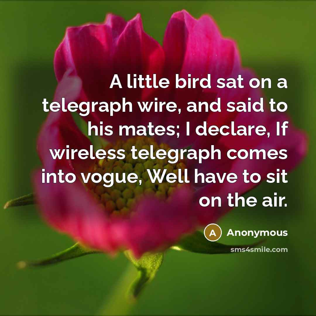 “A little bird sat on a telegraph wire, and said to his mates; I declare, If wireless telegraph comes into vogue, Well have to sit on the air.” quote by Anonymous