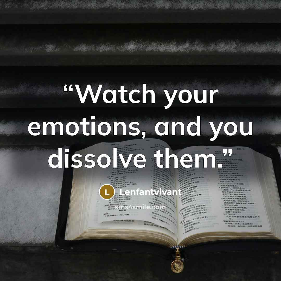 “Watch your emotions, and you dissolve them.” quote by Lenfantvivant