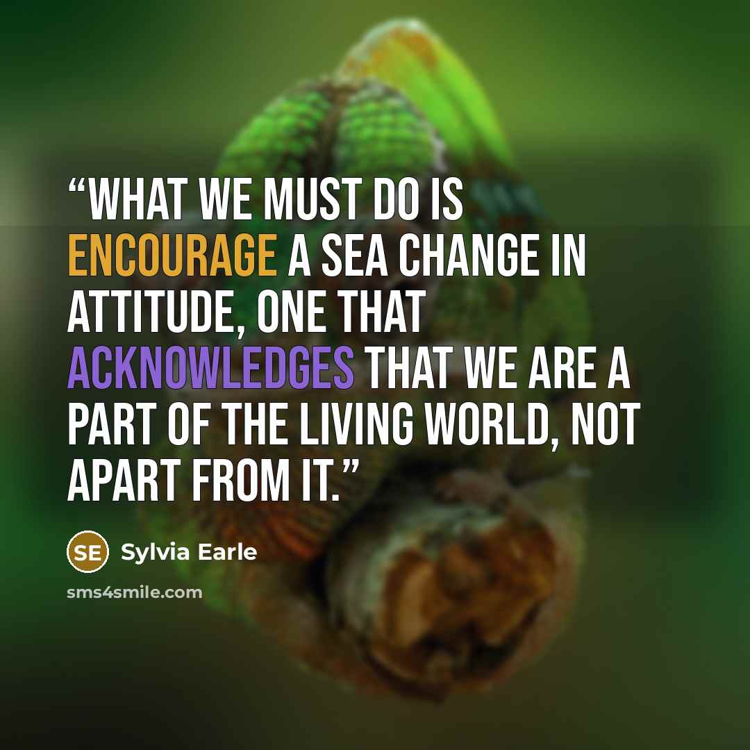 “What we must do is encourage a sea change in attitude, one that acknowledges that we are a part of the living world, not apart from it.” quote by Sylvia Earle