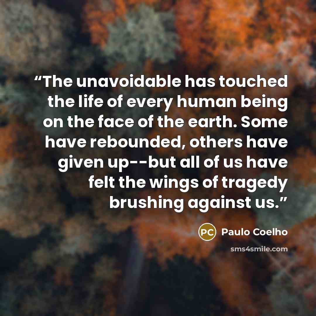 “The unavoidable has touched the life of every human being on the face of the earth. Some have rebounded, others have given up--but all of us have felt the wings of tragedy brushing against us.” quote by Paulo Coelho