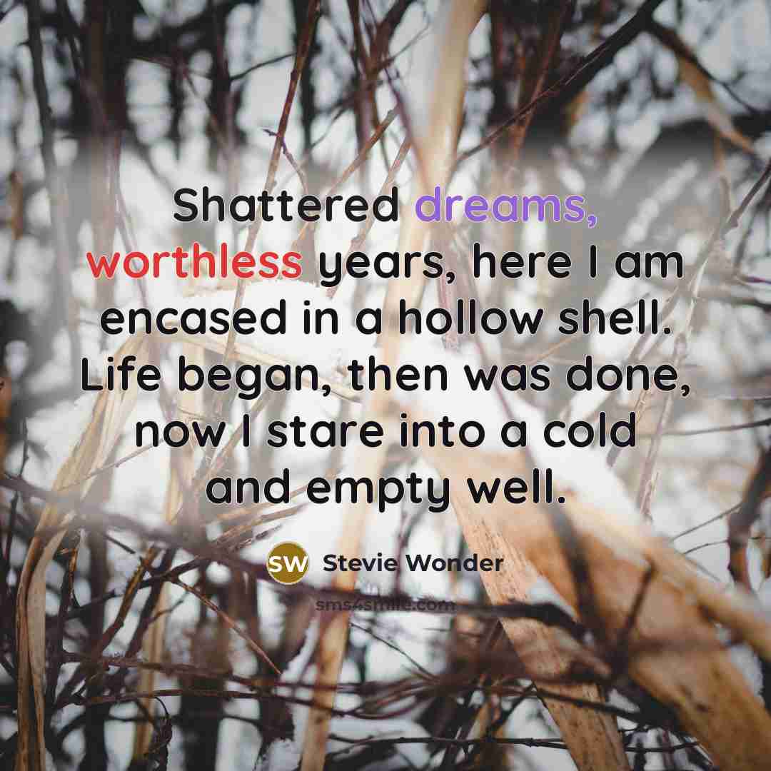 “Shattered dreams, worthless years, here I am encased in a hollow shell. Life began, then was done, now I stare into a cold and empty well.” quote by Stevie Wonder