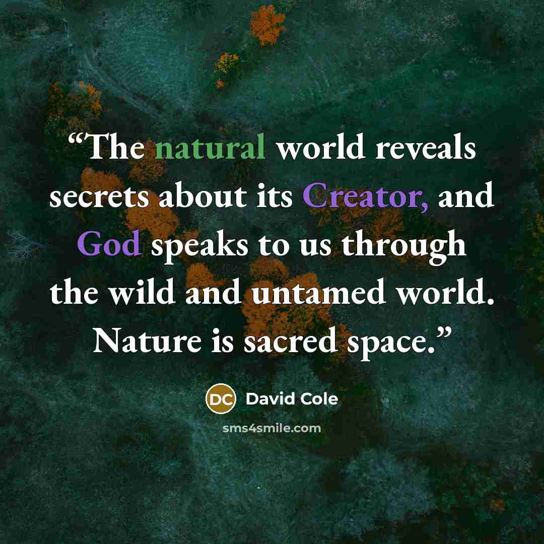 “The natural world reveals secrets about its Creator, and God speaks to us through the wild and untamed world. Nature is sacred space.” quote by David Cole