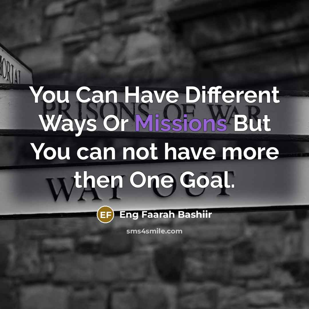 “You Can Have Different Ways Or Missions But You can not have more then One Goal.” quote by Eng Faarah Bashiir