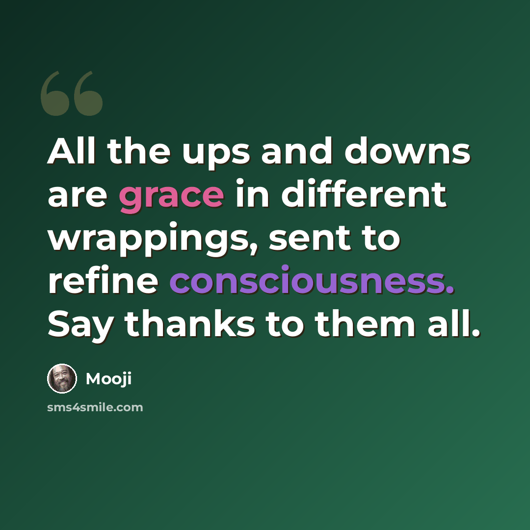 “All the ups and downs are grace in different wrappings, sent to refine consciousness. Say thanks to them all.” quote by Mooji