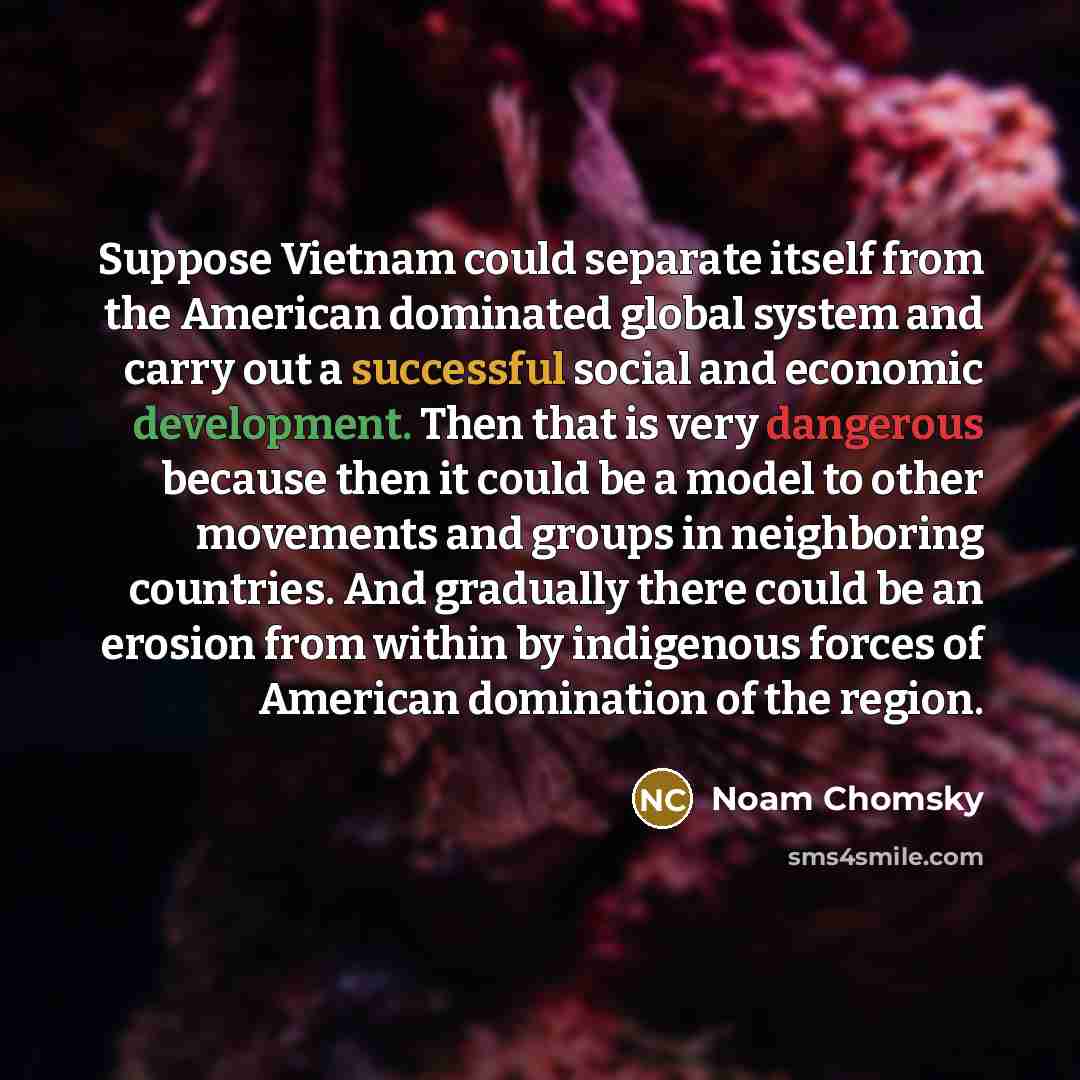 “Suppose Vietnam could separate itself from the American dominated global system and carry out a successful social and economic development. Then that is very dangerous because then it could be a model to other movements and groups in neighboring countries. And gradually there could be an erosion…” quote by Noam Chomsky