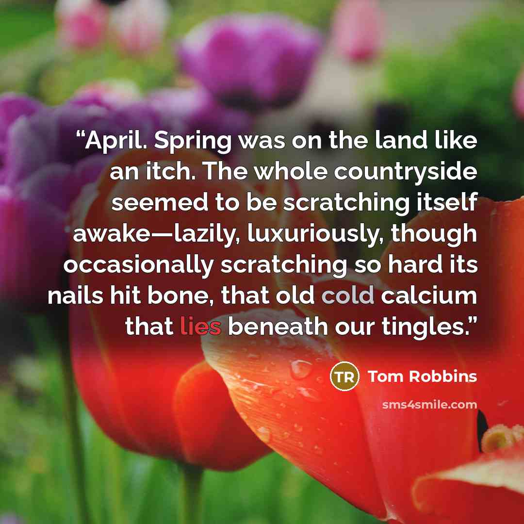 “April. Spring was on the land like an itch. The whole countryside seemed to be scratching itself awake—lazily, luxuriously, though occasionally scratching so hard its nails hit bone, that old cold calcium that lies beneath our tingles.” quote by Tom Robbins