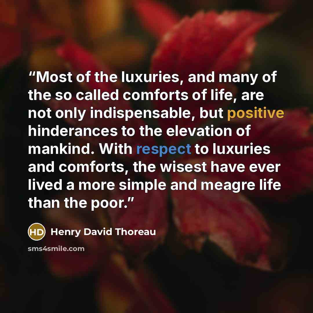 “Most of the luxuries, and many of the so called comforts of life, are not only indispensable, but positive hinderances to the elevation of mankind. With respect to luxuries and comforts, the wisest have ever lived a more simple and meagre life than the poor.” quote by Henry David Thoreau