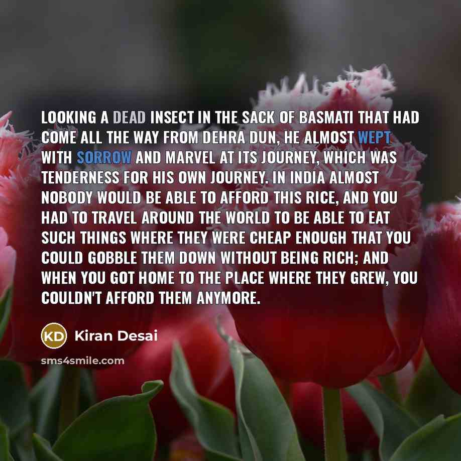 “Looking a dead insect in the sack of basmati that had come all the way from Dehra Dun, he almost wept with sorrow and marvel at its journey, which was tenderness for his own journey. In India almost nobody would be able to afford this rice, and you had to travel around the world to be able to eat…” quote by Kiran Desai