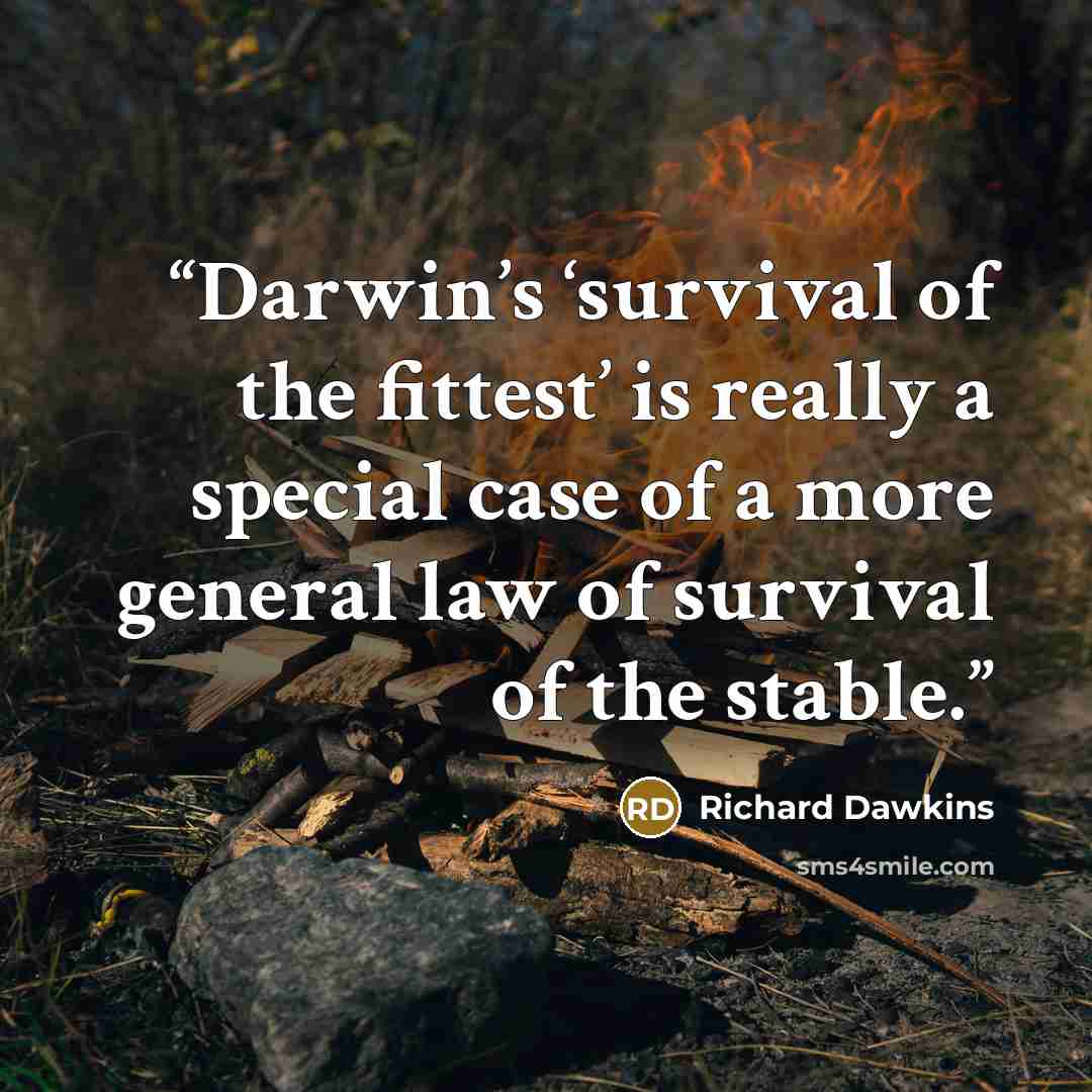 “Darwin’s ‘survival of the fittest’ is really a special case of a more general law of survival of the stable.” quote by Richard Dawkins