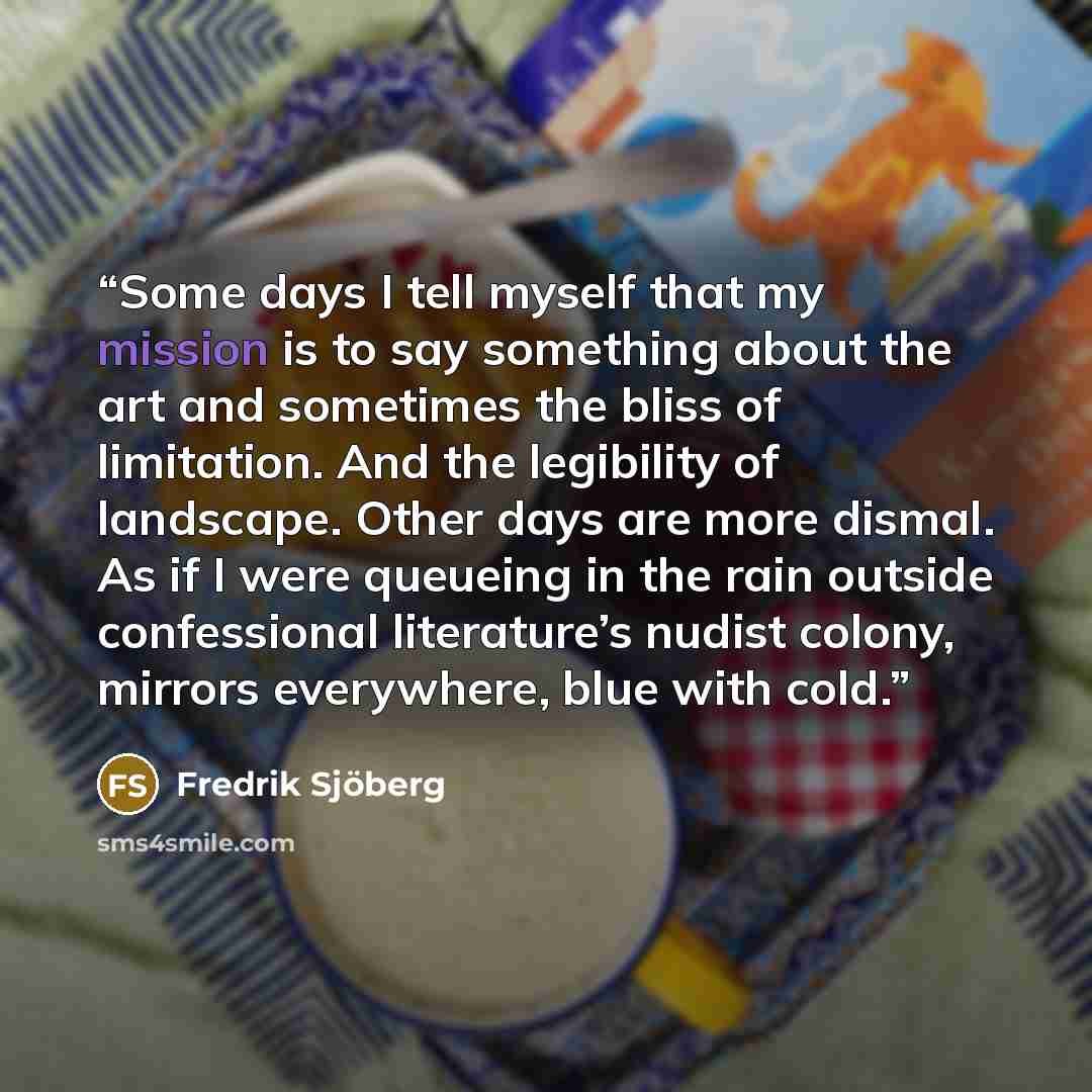 “Some days I tell myself that my mission is to say something about the art and sometimes the bliss of limitation. And the legibility of landscape. Other days are more dismal. As if I were queueing in the rain outside confessional literature’s nudist colony, mirrors everywhere, blue with cold.” quote by Fredrik Sjöberg
