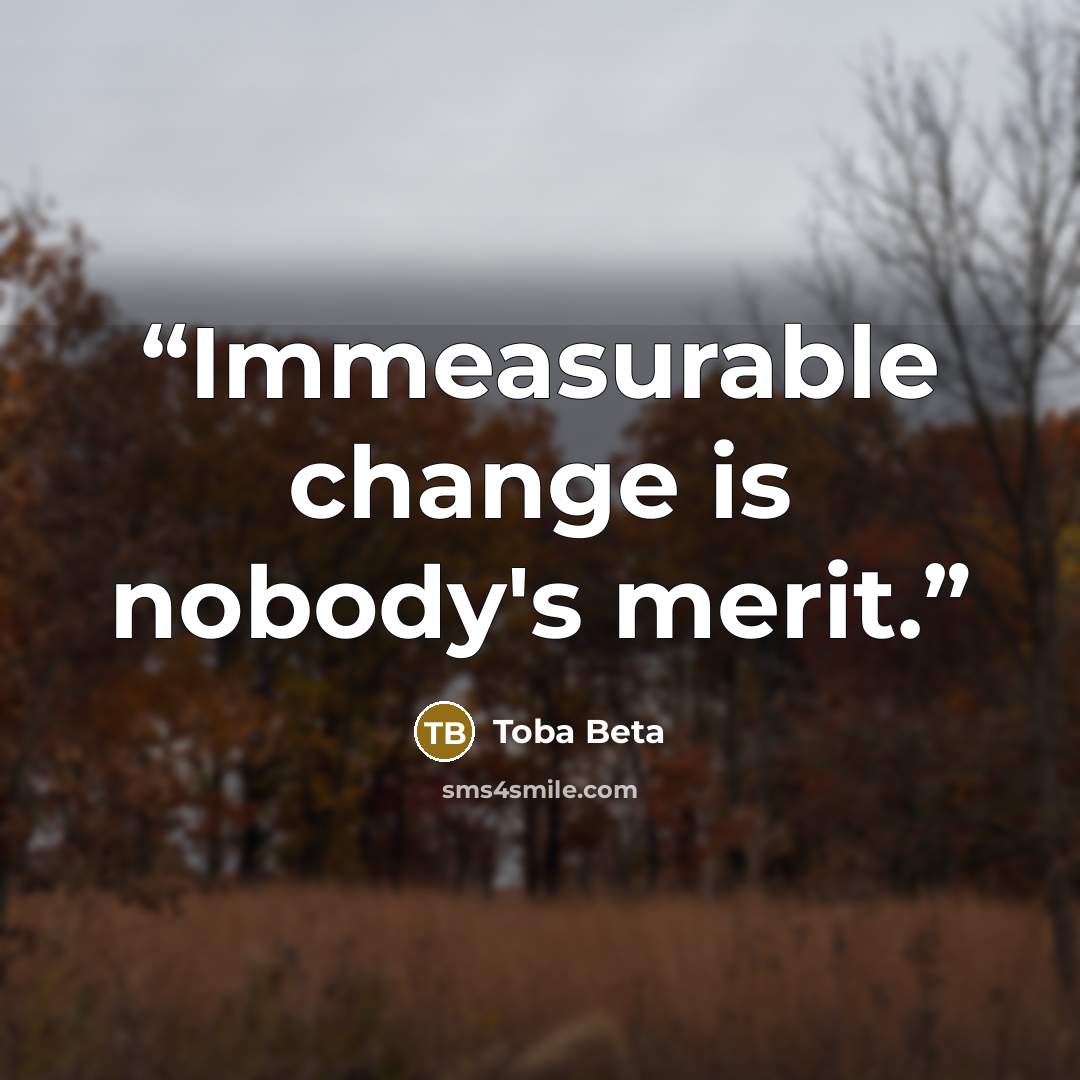“Immeasurable change is nobody's merit.” quote by Toba Beta