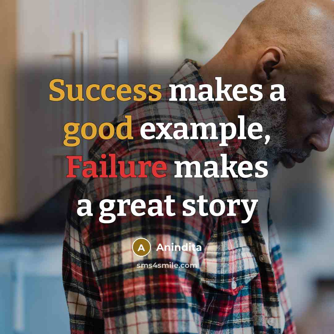 “Success makes a good example, Failure makes a great story” quote by Anindita