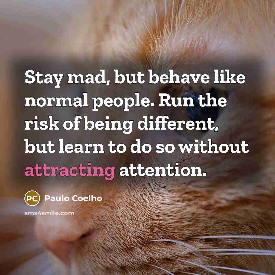 “Stay mad, but behave like normal people. Run the risk of being different, but learn to do so without attracting attention.” quote by Paulo Coelho