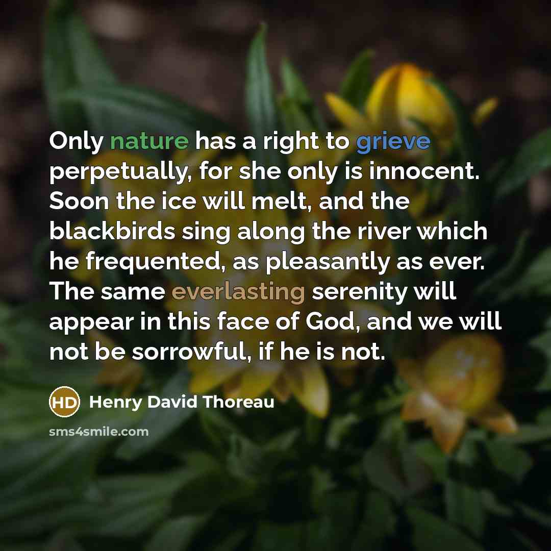 “Only nature has a right to grieve perpetually, for she only is innocent. Soon the ice will melt, and the blackbirds sing along the river which he frequented, as pleasantly as ever. The same everlasting serenity will appear in this face of God, and we will not be sorrowful, if he is not.” quote by Henry David Thoreau