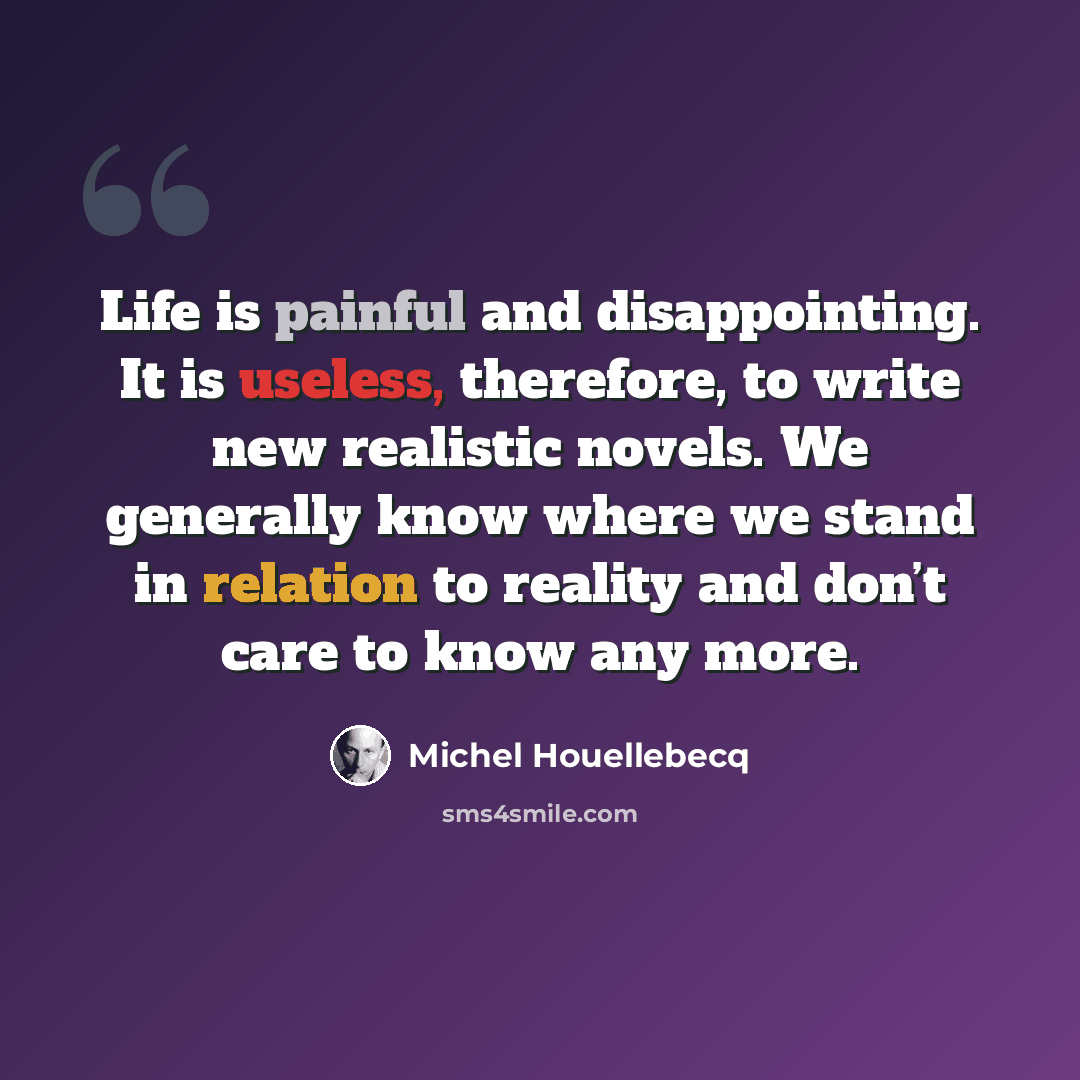 “Life is painful and disappointing. It is useless, therefore, to write new realistic novels. We generally know where we stand in relation to reality and don’t care to know any more.” quote by Michel Houellebecq