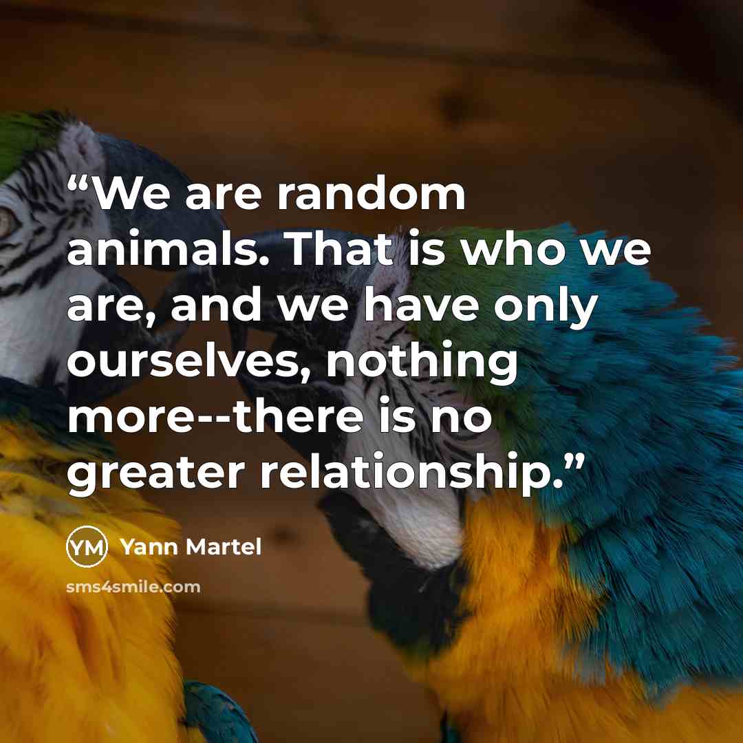 “We are random animals. That is who we are, and we have only ourselves, nothing more--there is no greater relationship.” quote by Yann Martel