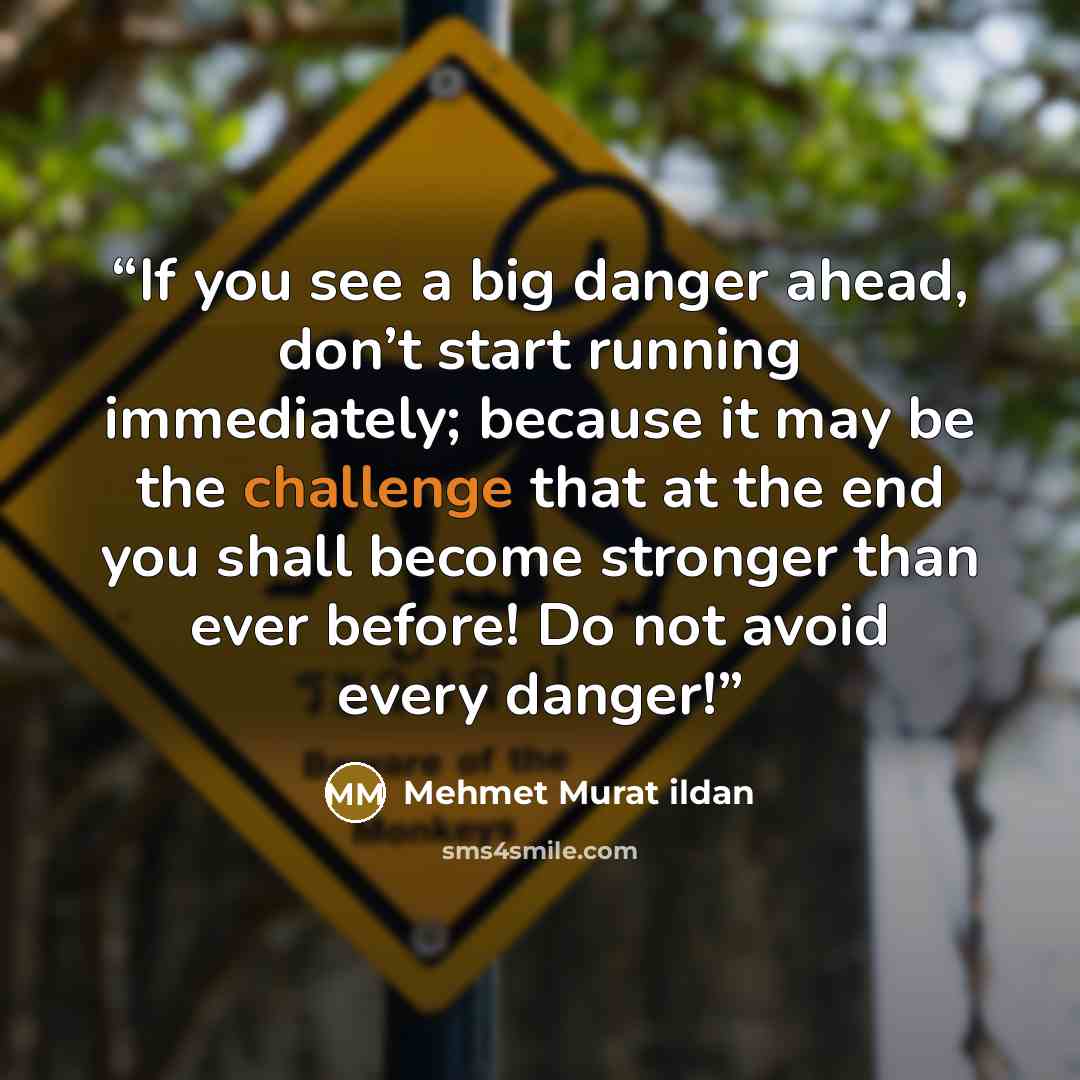 “If you see a big danger ahead, don’t start running immediately; because it may be the challenge that at the end you shall become stronger than ever before! Do not avoid every danger!” quote by Mehmet Murat ildan
