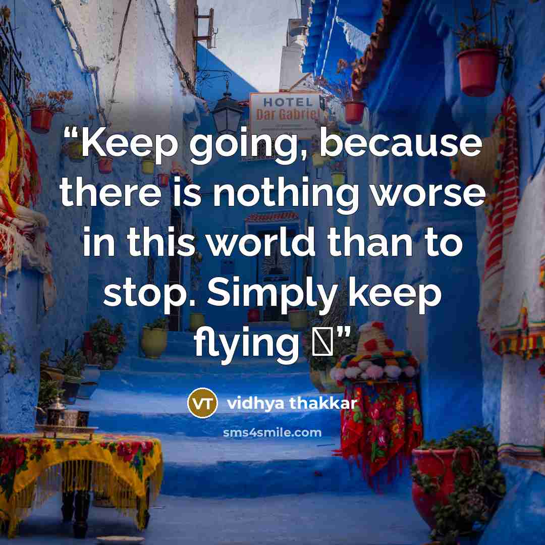 “Keep going, because there is nothing worse in this world than to stop. Simply keep flying ❤️” quote by vidhya thakkar