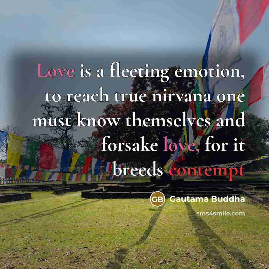 “Love is a fleeting emotion, to reach true nirvana one must know themselves and forsake love, for it breeds contempt” quote by Gautama Buddha