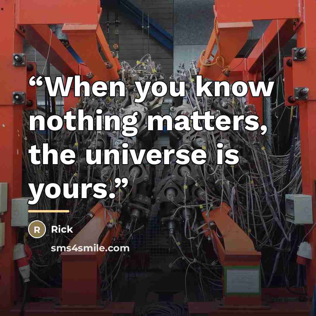 “When you know nothing matters, the universe is yours.” quote by Rick