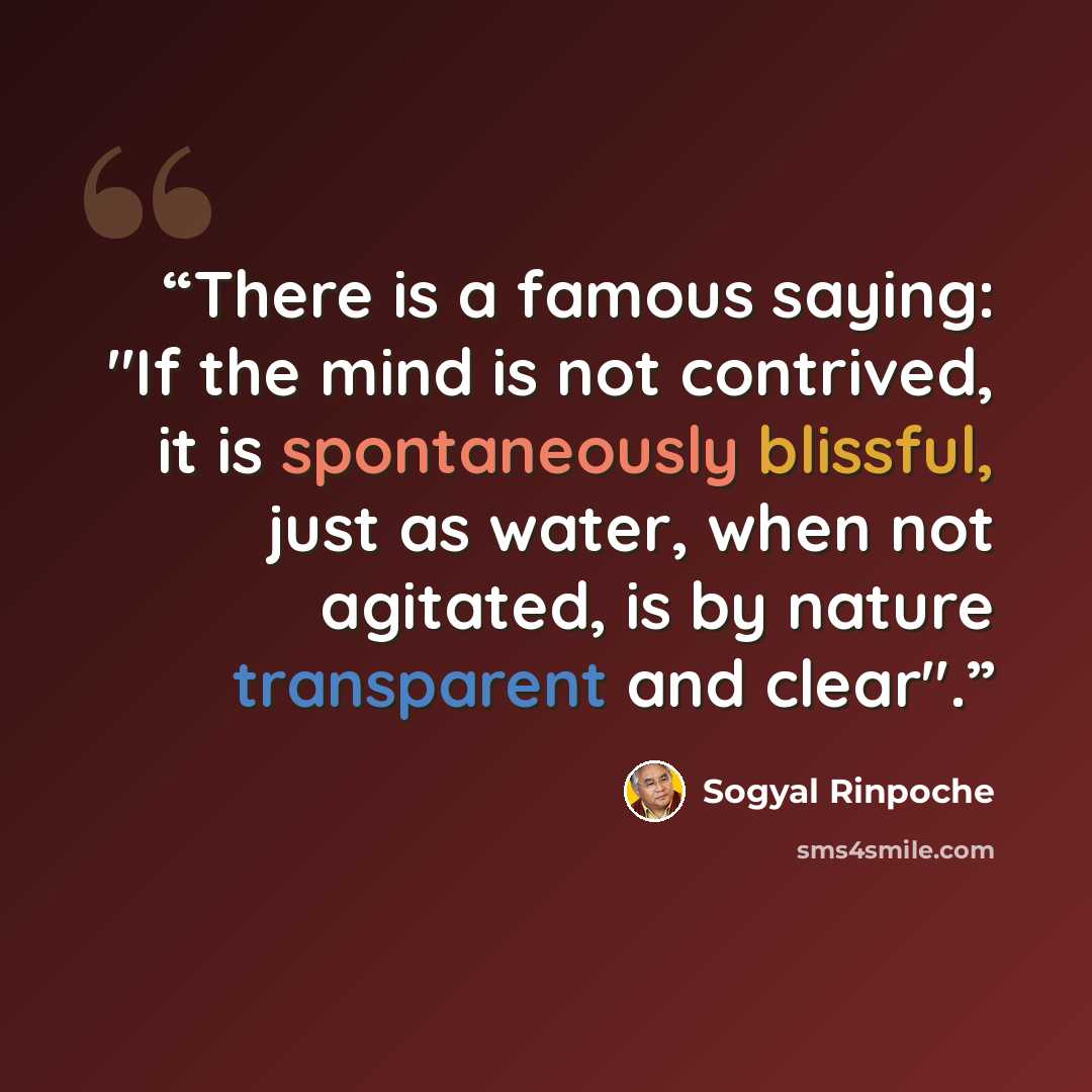 “There is a famous saying: "If the mind is not contrived, it is spontaneously blissful, just as water, when not agitated, is by nature transparent and clear".” quote by Sogyal Rinpoche
