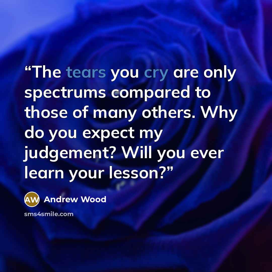 “The tears you cry are only spectrums compared to those of many others. Why do you expect my judgement? Will you ever learn your lesson?” quote by Andrew Wood