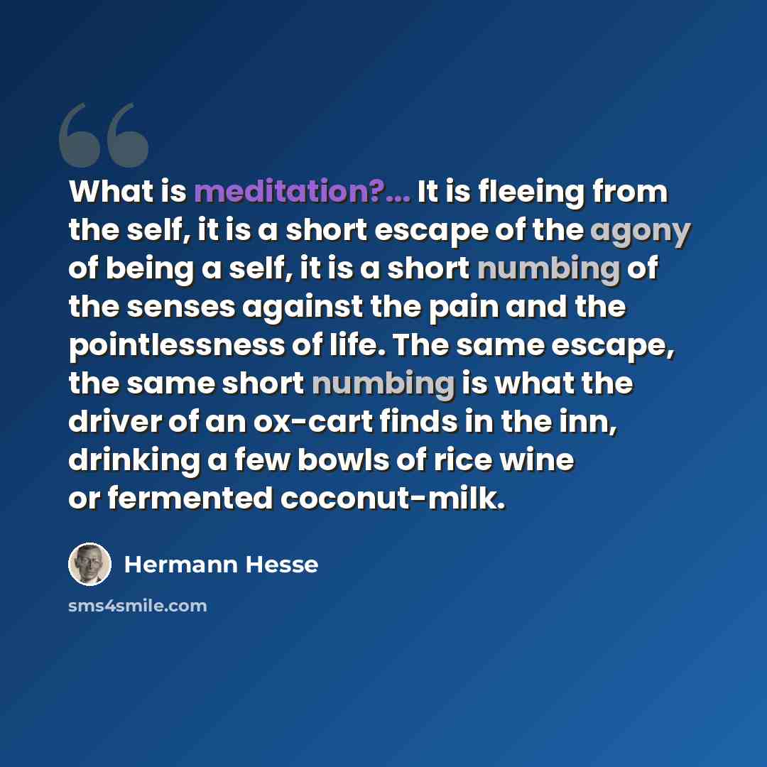“What is meditation?... It is fleeing from the self, it is a short escape of the agony of being a self, it is a short numbing of the senses against the pain and the pointlessness of life. The same escape, the same short numbing is what the driver of an ox-cart finds in the inn, drinking a few bowls…” quote by Hermann Hesse