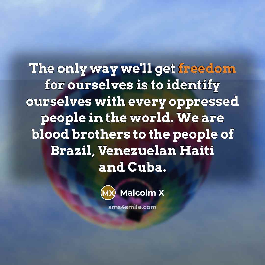 “The only way we'll get freedom for ourselves is to identify ourselves with every oppressed people in the world. We are blood brothers to the people of Brazil, Venezuelan Haiti and Cuba.” quote by Malcolm X