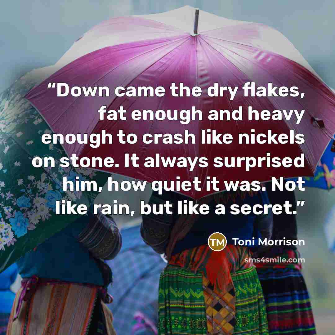 “Down came the dry flakes, fat enough and heavy enough to crash like nickels on stone. It always surprised him, how quiet it was. Not like rain, but like a secret.” quote by Toni Morrison