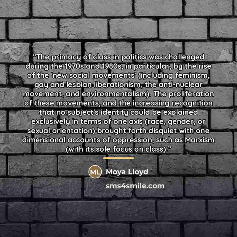 “The primacy of class in politics was challenged during the 1970s and 1980s, in particular, by the rise of the 'new social movements' (including feminism, gay and lesbian liberationism, the anti-nuclear movement, and environmentalism). The proliferation of these movements, and the increasing…” quote by Moya Lloyd