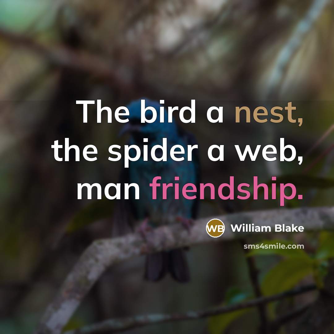 “The bird a nest, the spider a web, man friendship.” quote by William Blake