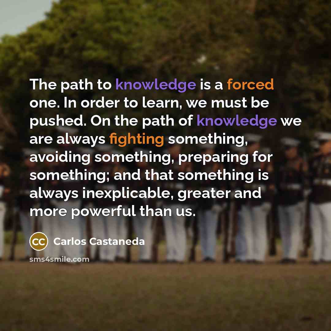 “The path to knowledge is a forced one. In order to learn, we must be pushed. On the path of knowledge we are always fighting something, avoiding something, preparing for something; and that something is always inexplicable, greater and more powerful than us.” quote by Carlos Castaneda