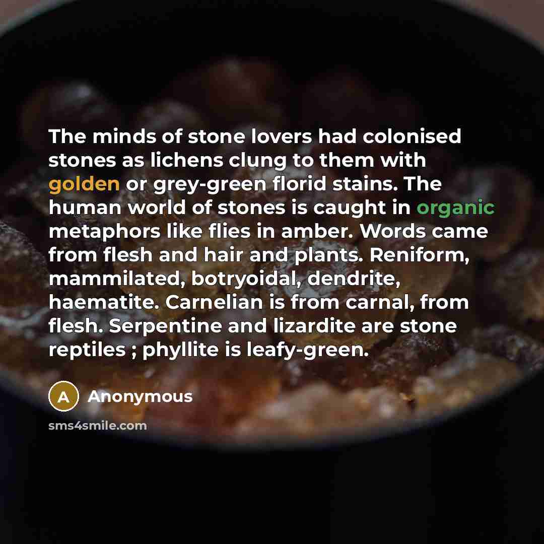 “The minds of stone lovers had colonised stones as lichens clung to them with golden or grey-green florid stains. The human world of stones is caught in organic metaphors like flies in amber. Words came from flesh and hair and plants. Reniform, mammilated, botryoidal, dendrite, haematite. Carnelian…” quote by Anonymous