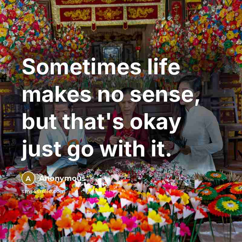 “Sometimes life makes no sense, but that's okay just go with it.” quote by Anonymous