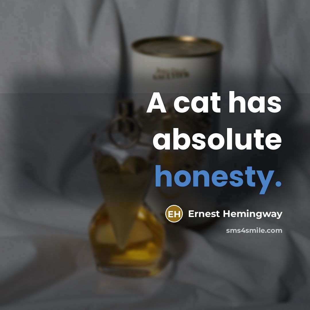 “A cat has absolute honesty.” quote by Ernest Hemingway
