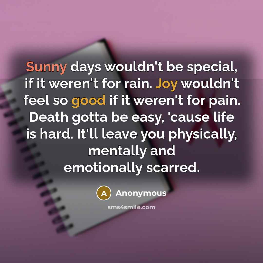 “Sunny days wouldn't be special, if it weren't for rain. Joy wouldn't feel so good if it weren't for pain. Death gotta be easy, 'cause life is hard. It'll leave you physically, mentally and emotionally scarred.” quote by Anonymous