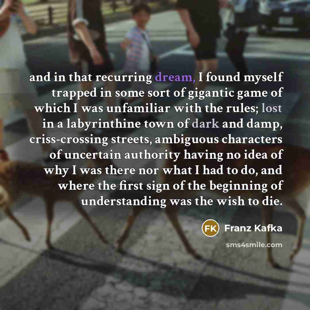 “and in that recurring dream, I found myself trapped in some sort of gigantic game of which I was unfamiliar with the rules; lost in a labyrinthine town of dark and damp, criss-crossing streets, ambiguous characters of uncertain authority having no idea of why I was there nor what I had to do, and…” quote by Franz Kafka