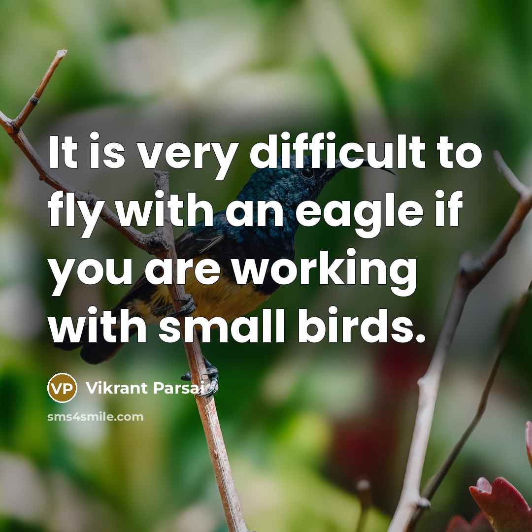 “It is very difficult to fly with an eagle if you are working with small birds.” quote by Vikrant Parsai